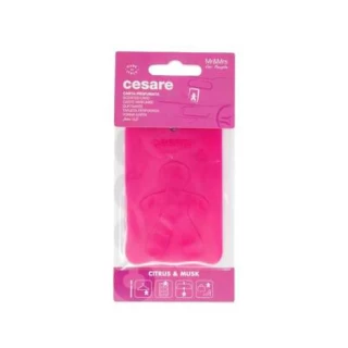 CESARE SCENTED CARD FUCHSIA-CITRUS