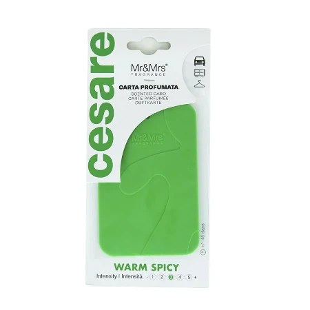 CESARE OSVEŽIVAČ GREEN WARM SPICY JELKICA
